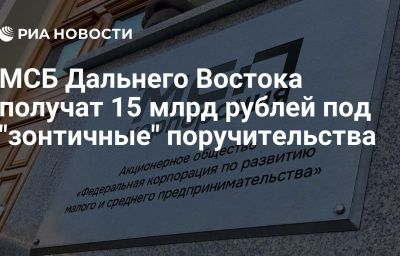 МСБ Дальнего Востока получат 15 млрд рублей под "зонтичные" поручительства