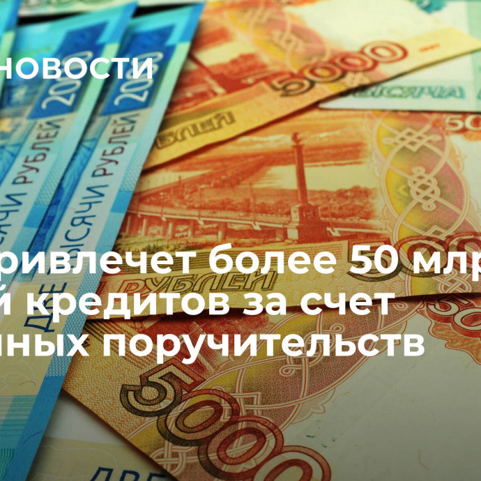 МСП привлечет более 50 млрд рублей кредитов за счет зонтичных поручительств