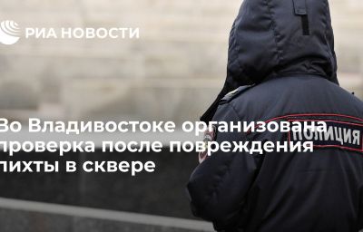 Во Владивостоке организована проверка после повреждения пихты в сквере