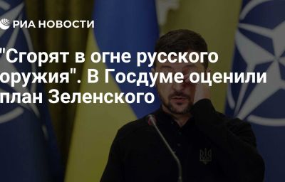 "Сгорят в огне русского оружия". В Госдуме оценили план Зеленского