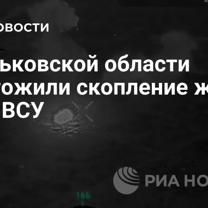 В Харьковской области уничтожили скопление живой силы ВСУ