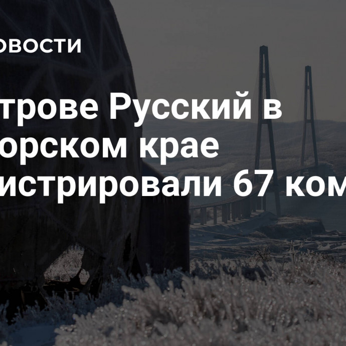 На острове Русский в Приморском крае зарегистрировали 67 компаний