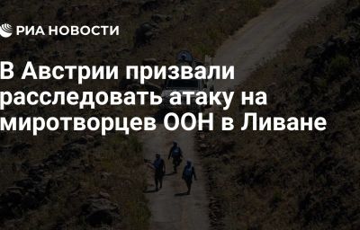 В Австрии призвали расследовать атаку на миротворцев ООН в Ливане