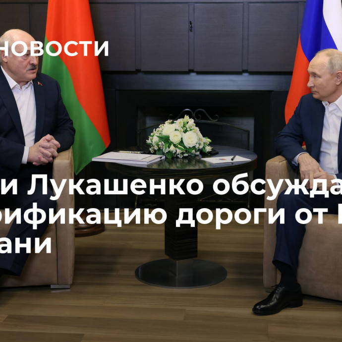 Путин и Лукашенко обсуждали электрификацию дороги от Бреста до Казани