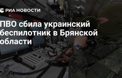 ПВО сбила украинский беспилотник в Брянской области