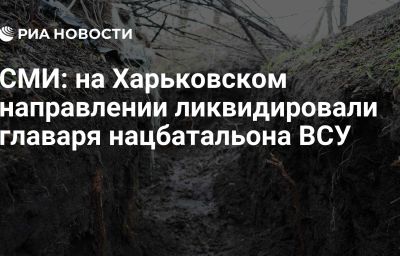 СМИ: на Харьковском направлении ликвидировали главаря нацбатальона ВСУ