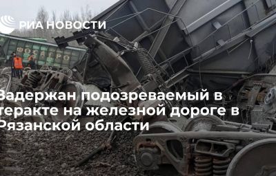 Задержан подозреваемый в теракте на железной дороге в Рязанской области