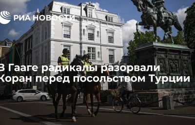 В Гааге радикалы разорвали Коран перед посольством Турции