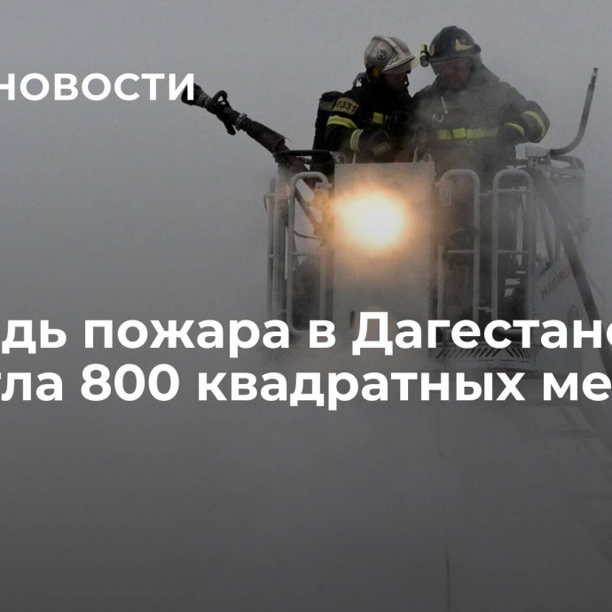 Площадь пожара в Дагестане достигла 800 квадратных метров