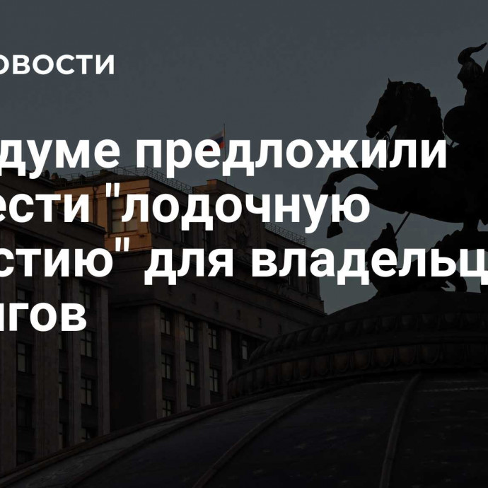 В Госдуме предложили провести 