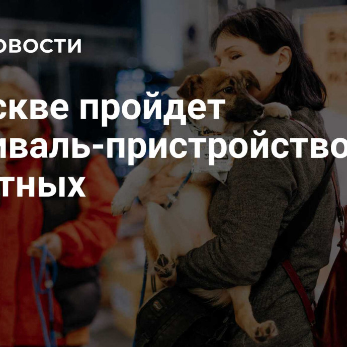 В Москве пройдет фестиваль-пристройство животных