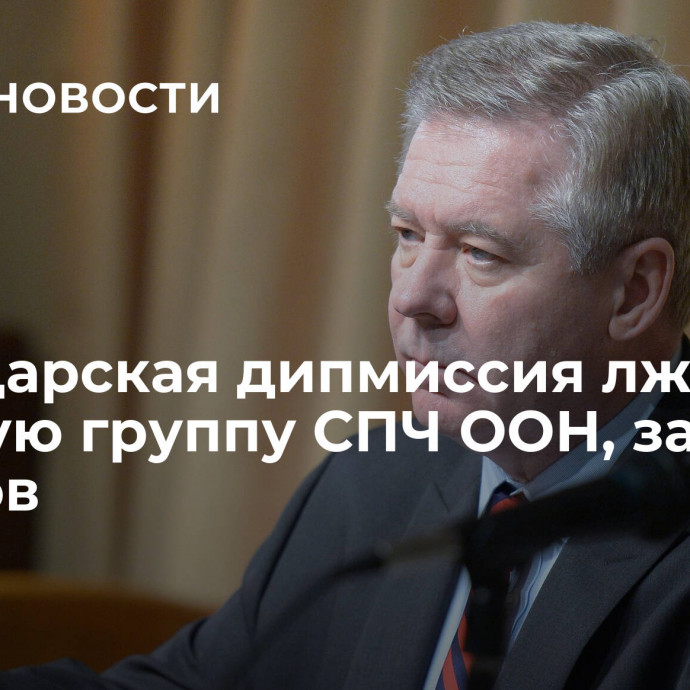 Швейцарская дипмиссия лжет про рабочую группу СПЧ ООН, заявил Гатилов