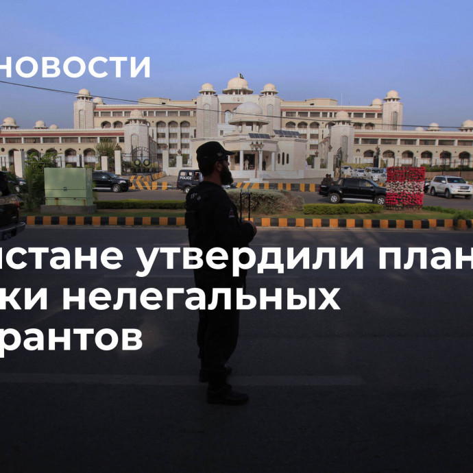 В Пакистане утвердили план высылки нелегальных иммигрантов