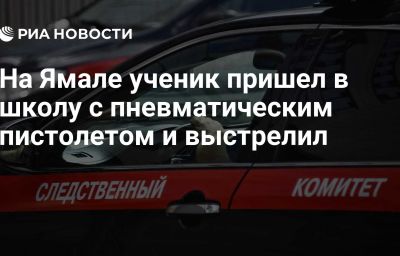 На Ямале ученик пришел в школу с пневматическим пистолетом и выстрелил