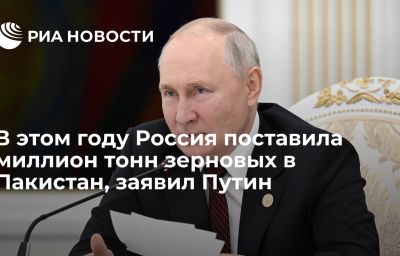 В этом году Россия поставила миллион тонн зерновых в Пакистан, заявил Путин