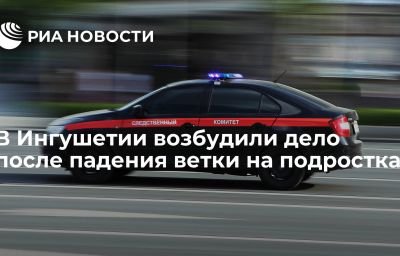 В Ингушетии возбудили дело после падения ветки на подростка