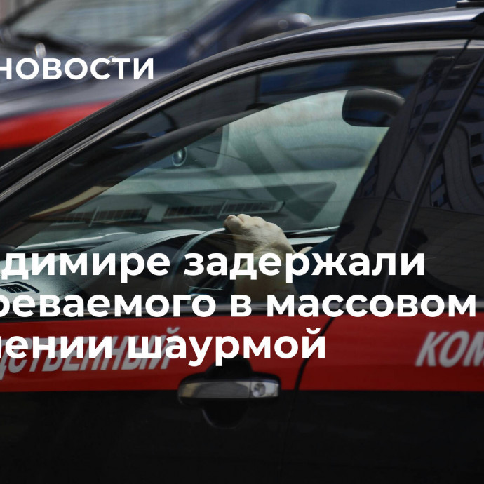 Во Владимире задержали подозреваемого в массовом отравлении шаурмой