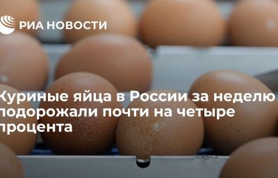 Куриные яйца в России за неделю подорожали почти на четыре процента