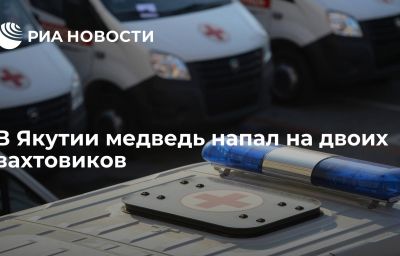 В Якутии медведь напал на двоих вахтовиков