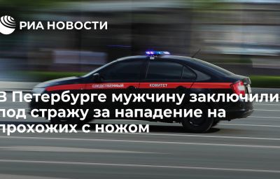 В Петербурге мужчину заключили под стражу за нападение на прохожих с ножом