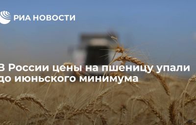 В России цены на пшеницу упали до июньского минимума