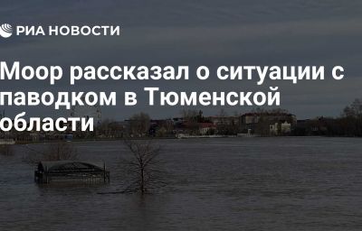 Моор рассказал о ситуации с паводком в Тюменской области