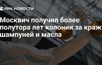 Москвич получил более полутора лет колонии за кражу шампуней и масла