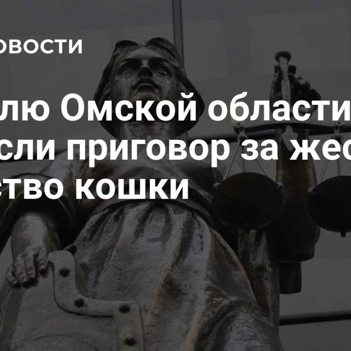 Жителю Омской области вынесли приговор за жестокое убийство кошки