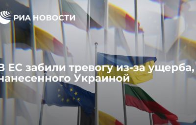 В ЕС забили тревогу из-за ущерба, нанесенного Украиной