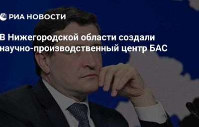 В Нижегородской области создали научно-производственный центр БАС