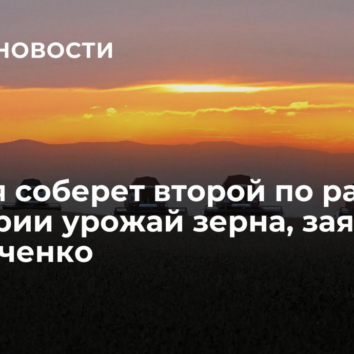 Россия соберет второй по размеру в истории урожай зерна, заявила Абрамченко