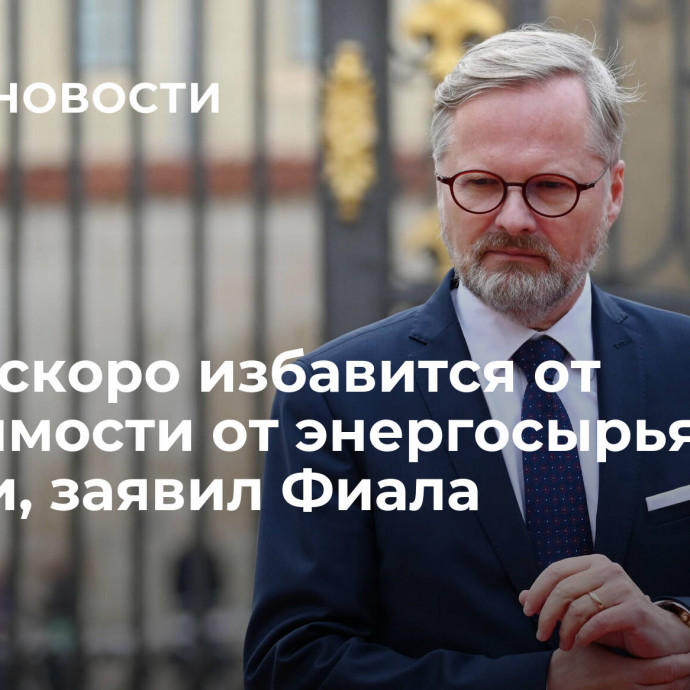 Чехия скоро избавится от зависимости от энергосырья из России, заявил Фиала