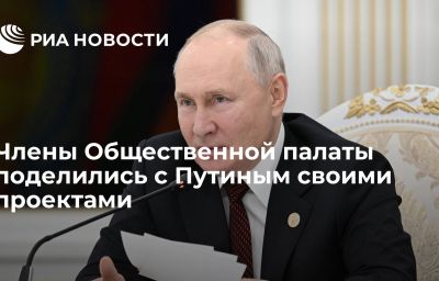 Члены Общественной палаты поделились с Путиным своими проектами