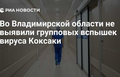 Во Владимирской области не выявили групповых вспышек вируса Коксаки