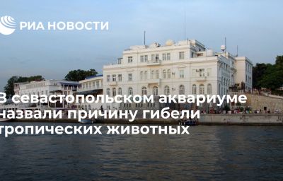 В севастопольском аквариуме назвали причину гибели тропических животных