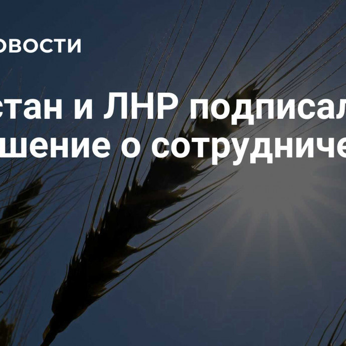 Дагестан и ЛНР подписали соглашение о сотрудничестве