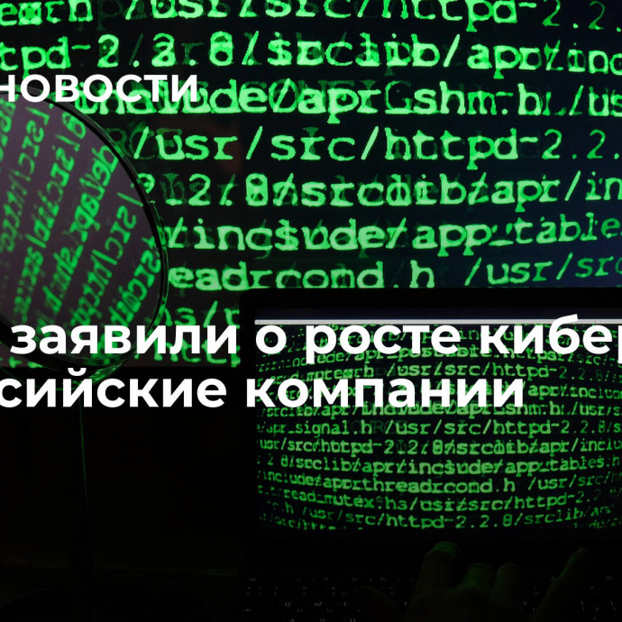 В МВД заявили о росте кибератак на российские компании