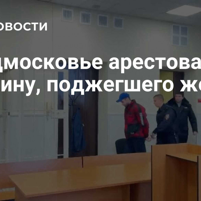 В Подмосковье арестовали мужчину, поджегшего жену