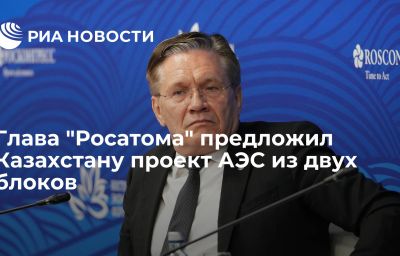 Глава "Росатома" предложил Казахстану проект АЭС из двух блоков