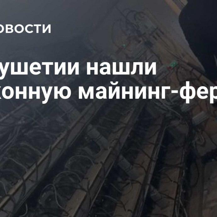 В Ингушетии нашли незаконную майнинг-ферму