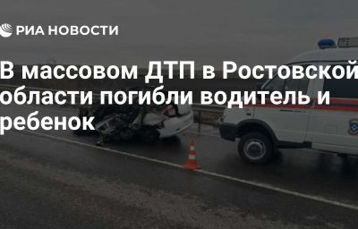 В массовом ДТП в Ростовской области погибли водитель и ребенок