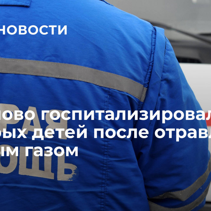 В Иваново госпитализировали четверых детей после отравления угарным газом