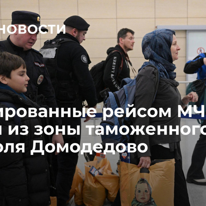 Эвакуированные рейсом МЧС вышли из зоны таможенного контроля Домодедово