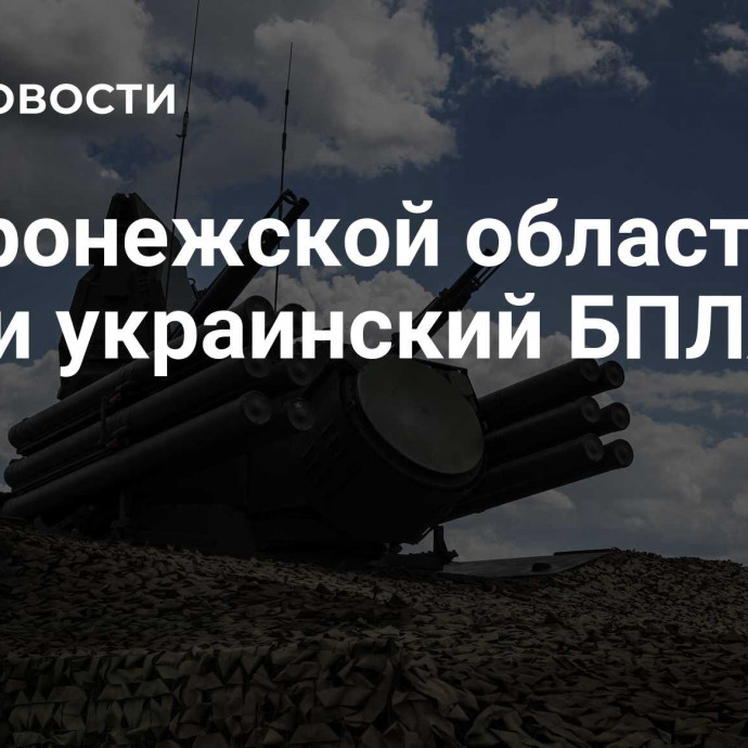 В Воронежской области сбили украинский БПЛА