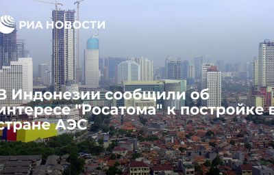 В Индонезии сообщили об интересе "Росатома" к постройке в стране АЭС