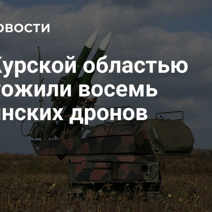 Над Курской областью уничтожили восемь украинских дронов