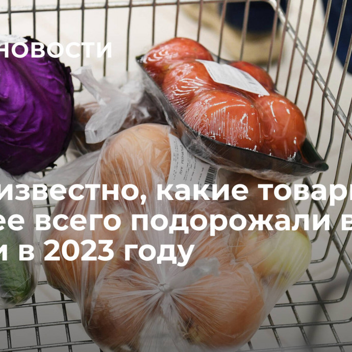 Стало известно, какие товары сильнее всего подорожали в России в 2023 году