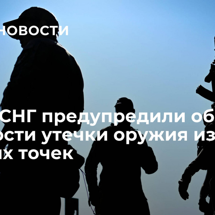 В АТЦ СНГ предупредили об опасности утечки оружия из горячих точек