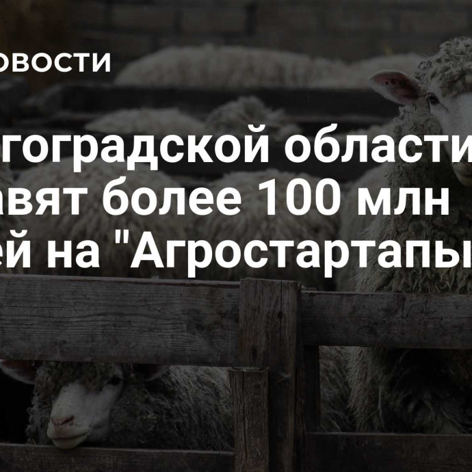 В Волгоградской области направят более 100 млн рублей на 