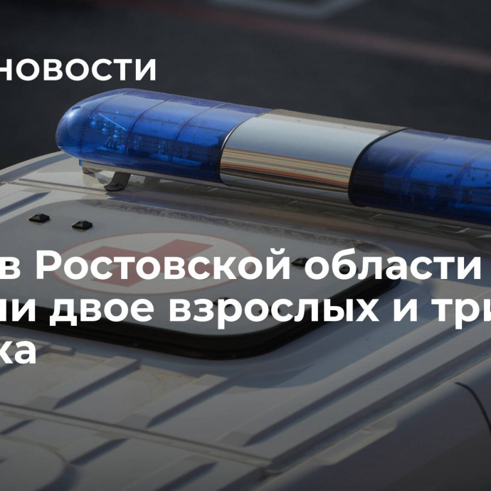 В ДТП в Ростовской области погибли двое взрослых и три ребенка